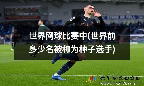 世界网球比赛中(世界前多少名被称为种子选手)