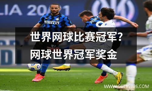 世界网球比赛冠军？网球世界冠军奖金