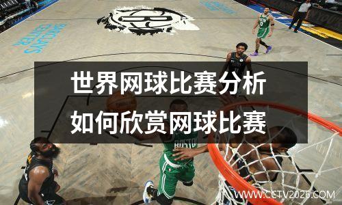 世界网球比赛分析 如何欣赏网球比赛