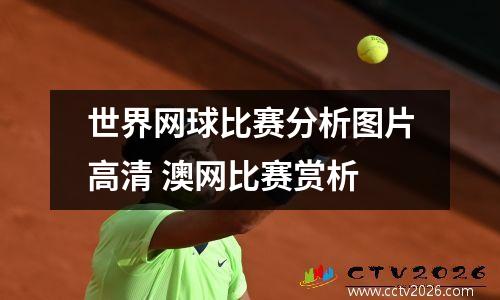世界网球比赛分析图片高清 澳网比赛赏析