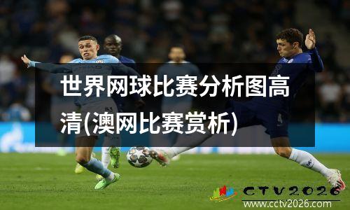世界网球比赛分析图高清(澳网比赛赏析)