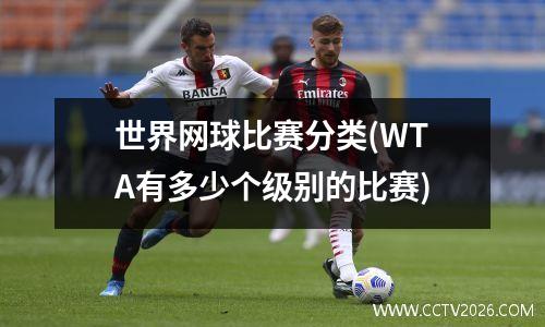 世界网球比赛分类(WTA有多少个级别的比赛)