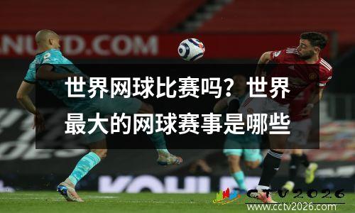 世界网球比赛吗？世界最大的网球赛事是哪些