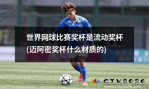 世界网球比赛奖杯是流动奖杯(迈阿密奖杯什么材质的)