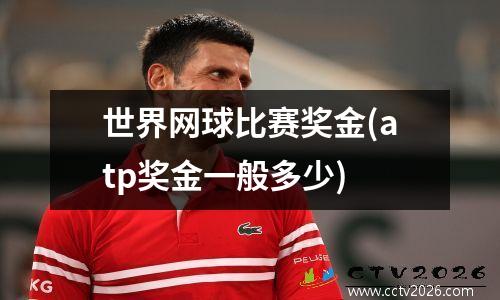 世界网球比赛奖金(atp奖金一般多少)