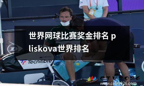 世界网球比赛奖金排名 pliskova世界排名