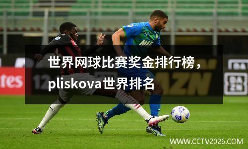 世界网球比赛奖金排行榜，pliskova世界排名