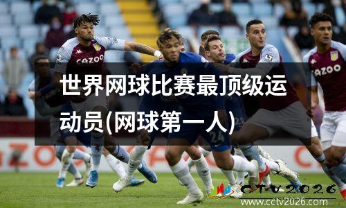 世界网球比赛最顶级运动员(网球第一人)