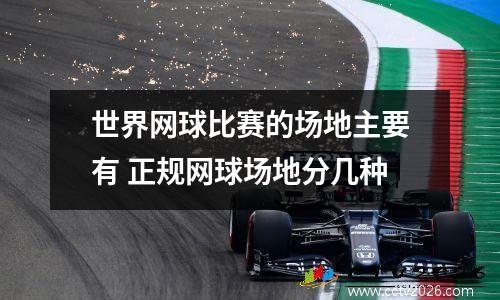 世界网球比赛的场地主要有 正规网球场地分几种