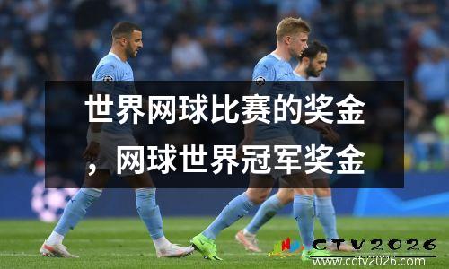 世界网球比赛的奖金，网球世界冠军奖金