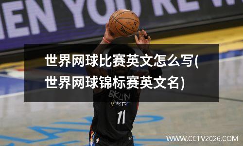 世界网球比赛英文怎么写(世界网球锦标赛英文名)
