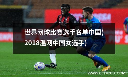 世界网球比赛选手名单中国(2018温网中国女选手)