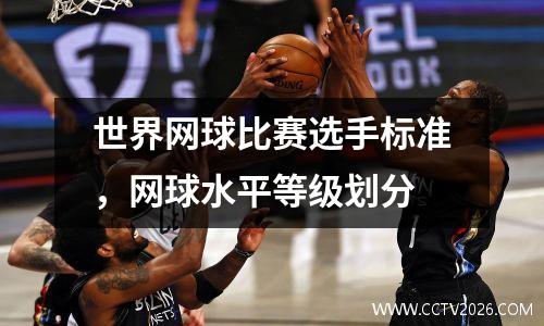 世界网球比赛选手标准，网球水平等级划分