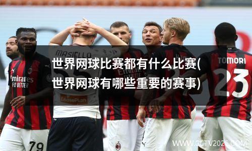 世界网球比赛都有什么比赛(世界网球有哪些重要的赛事)