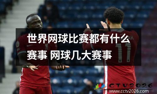 世界网球比赛都有什么赛事 网球几大赛事