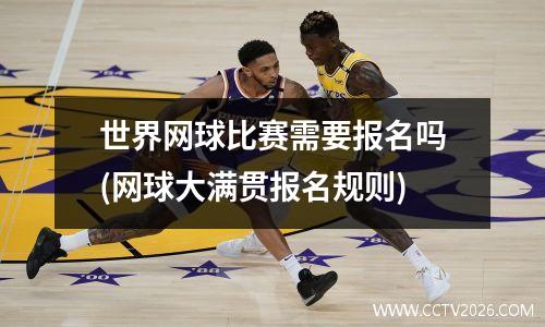 世界网球比赛需要报名吗(网球大满贯报名规则)