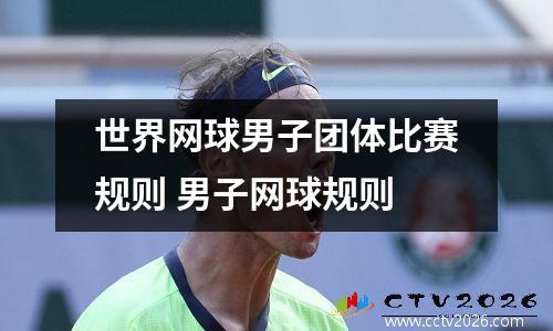 世界网球男子团体比赛规则 男子网球规则