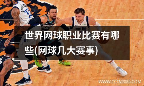世界网球职业比赛有哪些(网球几大赛事)