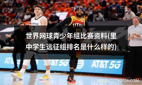 世界网球青少年组比赛资料(里中学生远征组排名是什么样的)