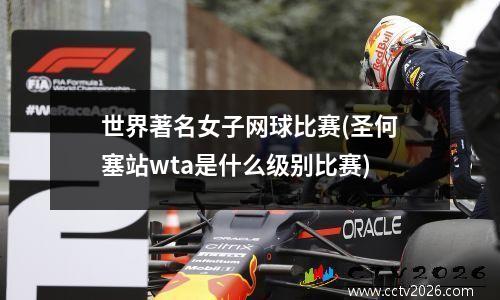 世界著名女子网球比赛(圣何塞站wta是什么级别比赛)