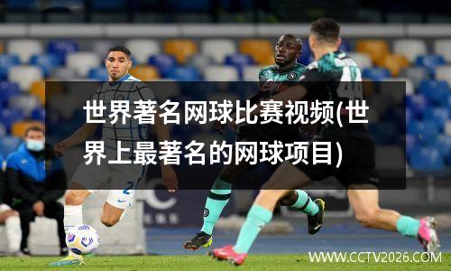 世界著名网球比赛视频(世界上最著名的网球项目)