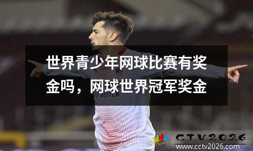 世界青少年网球比赛有奖金吗，网球世界冠军奖金