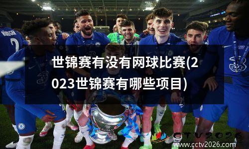 世锦赛有没有网球比赛(2023世锦赛有哪些项目)