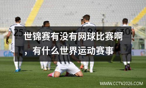 世锦赛有没有网球比赛啊，有什么世界运动赛事