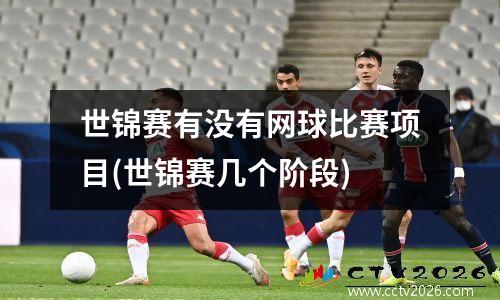 世锦赛有没有网球比赛项目(世锦赛几个阶段)