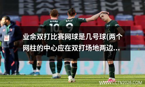 业余双打比赛网球是几号球(两个网柱的中心应在双打场地两边外各多少米处)