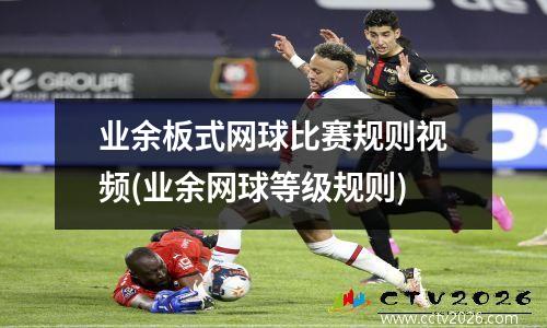 业余板式网球比赛规则视频(业余网球等级规则)