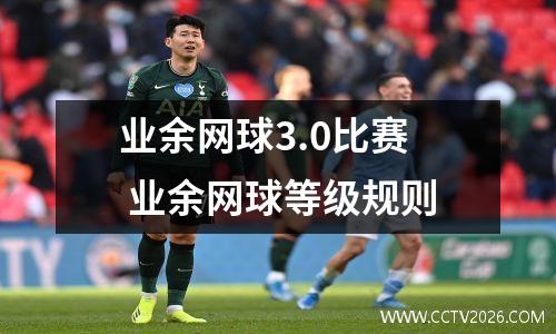 业余网球3.0比赛 业余网球等级规则