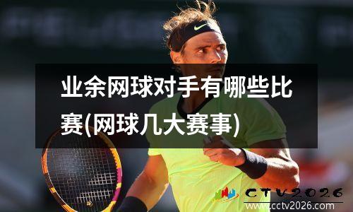 业余网球对手有哪些比赛(网球几大赛事)