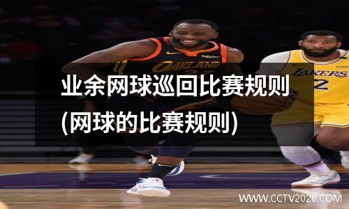 业余网球巡回比赛规则(网球的比赛规则)