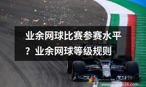 业余网球比赛参赛水平？业余网球等级规则