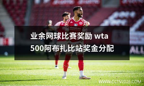 业余网球比赛奖励 wta500阿布扎比站奖金分配