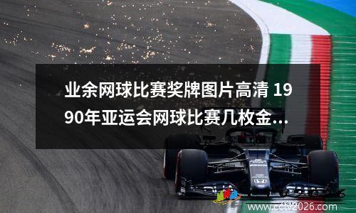 业余网球比赛奖牌图片高清 1990年亚运会网球比赛几枚金牌