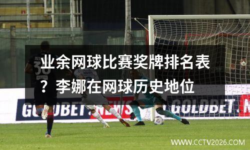 业余网球比赛奖牌排名表？李娜在网球历史地位