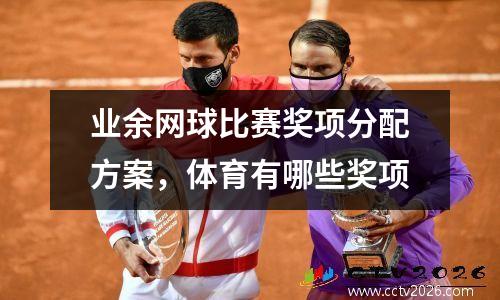 业余网球比赛奖项分配方案，体育有哪些奖项
