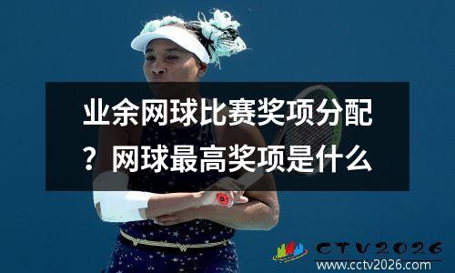 业余网球比赛奖项分配？网球最高奖项是什么