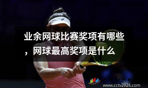 业余网球比赛奖项有哪些，网球最高奖项是什么