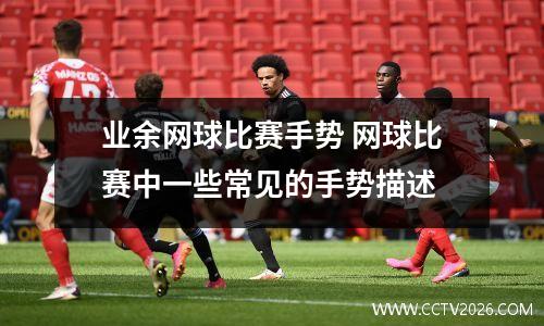业余网球比赛手势 网球比赛中一些常见的手势描述