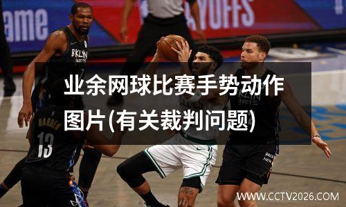 业余网球比赛手势动作图片(有关裁判问题)