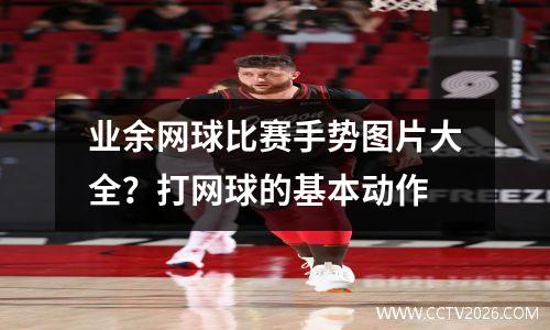 业余网球比赛手势图片大全？打网球的基本动作