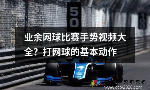 业余网球比赛手势视频大全？打网球的基本动作