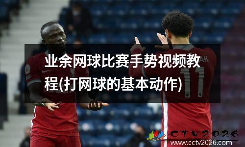 业余网球比赛手势视频教程(打网球的基本动作)