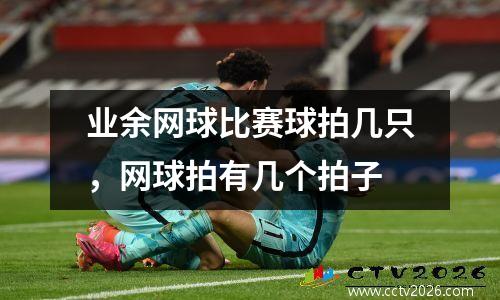 业余网球比赛球拍几只，网球拍有几个拍子