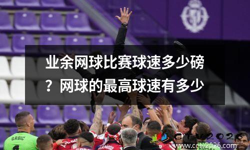 业余网球比赛球速多少磅？网球的最高球速有多少