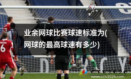业余网球比赛球速标准为(网球的最高球速有多少)
