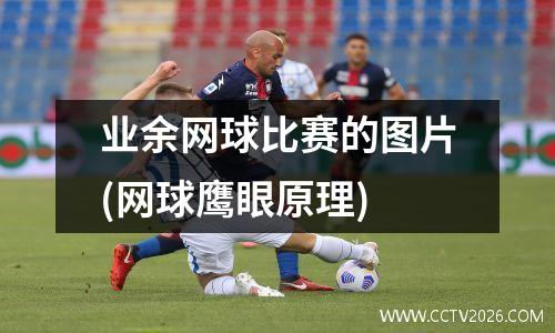 业余网球比赛的图片(网球鹰眼原理)